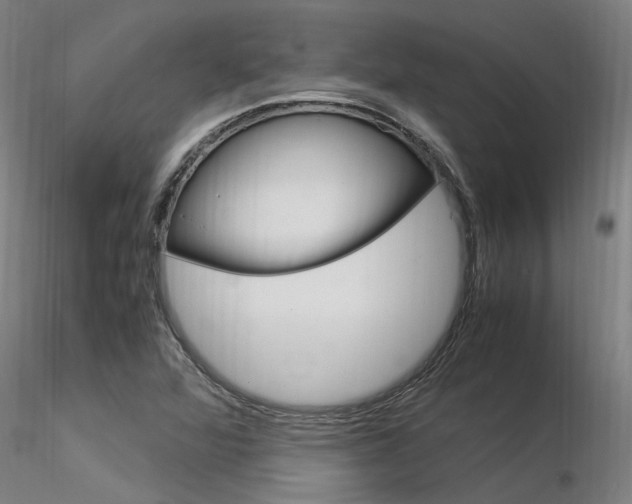 X0000116371360200912021000