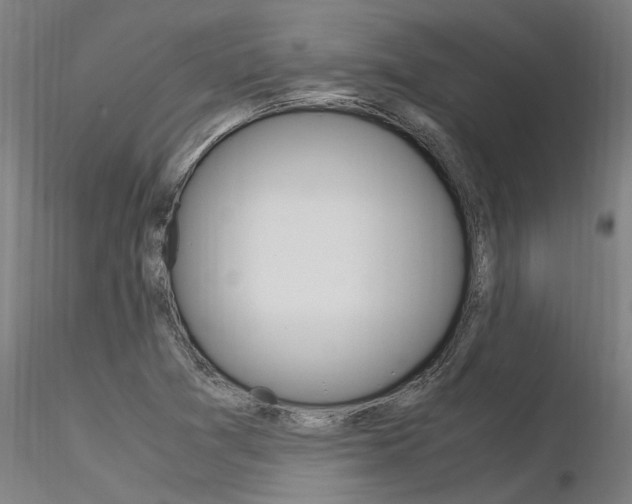 X0000116371361200912021000
