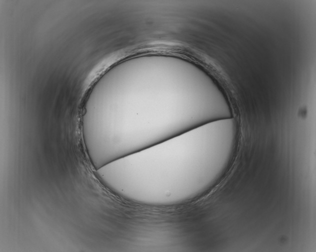 X0000116371362200912021000