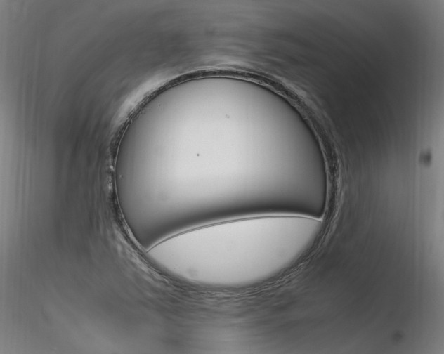 X0000116371363200912021000