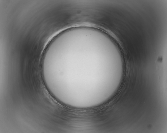 X0000116371364200912021000