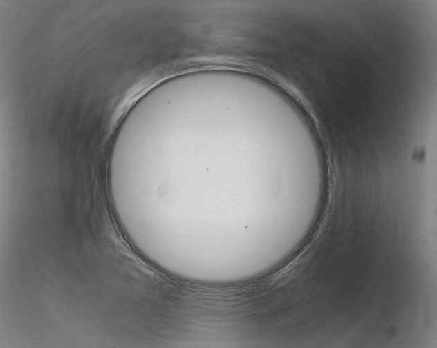 X0000116371365200912021000