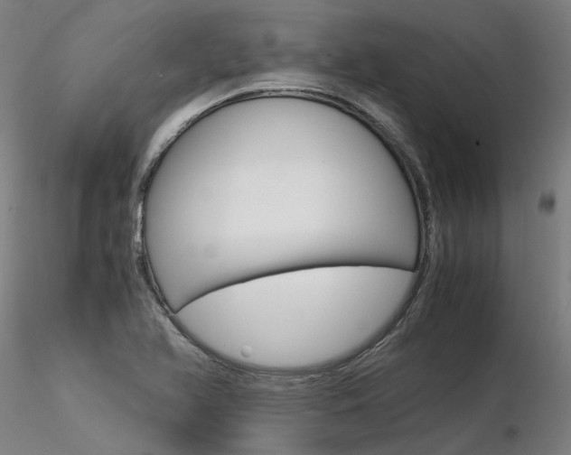X0000116371366200912021000