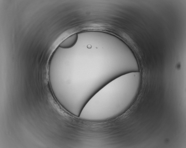 X0000116371370200912020959