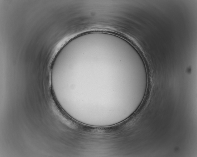 X0000116371371200912020959