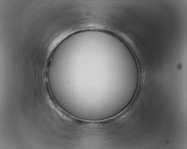 X0000116371373200912020959