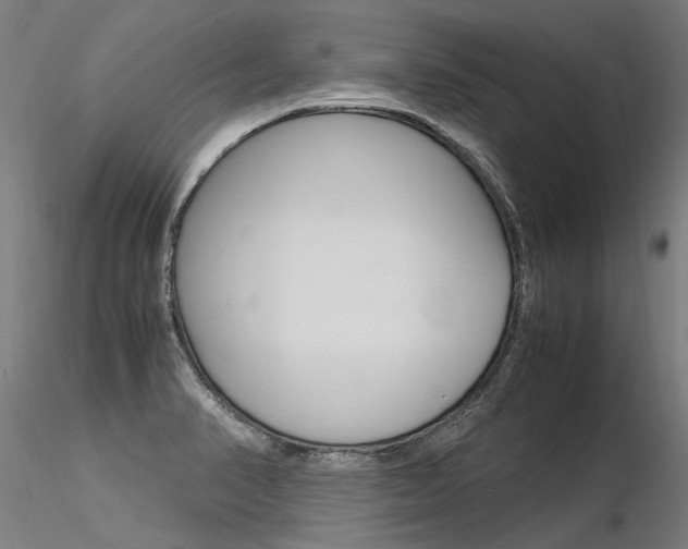X0000116371374200912020959