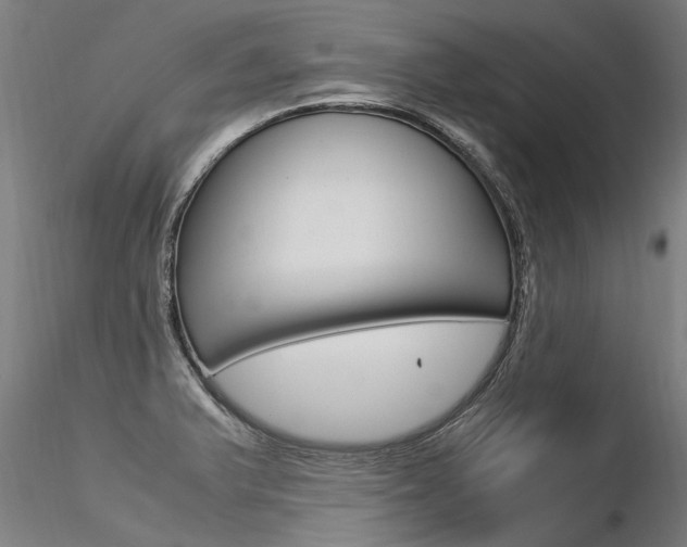 X0000116371375200912020959