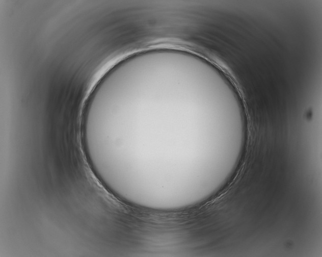 X0000116371376200912020959
