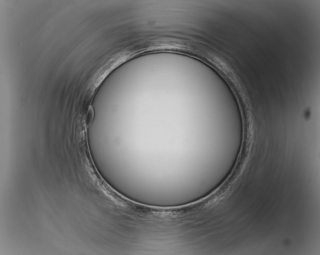 X0000116371377200912020959