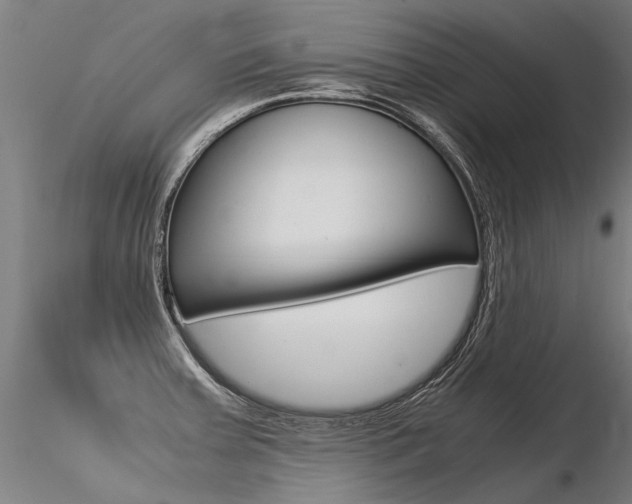 X0000116371379200912020959