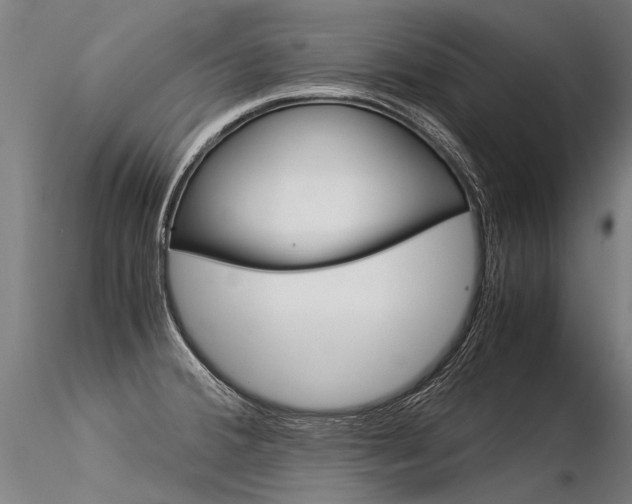 X0000116371380200912020959