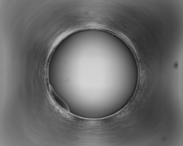 X0000116371381200912020959