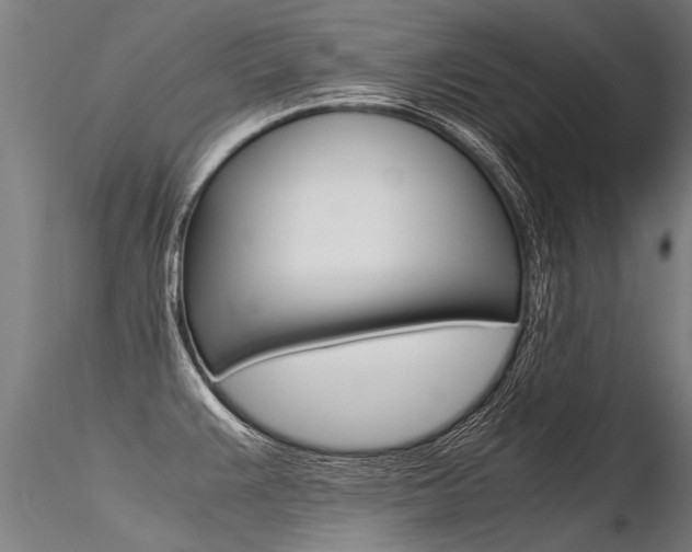 X0000116371383200912020959