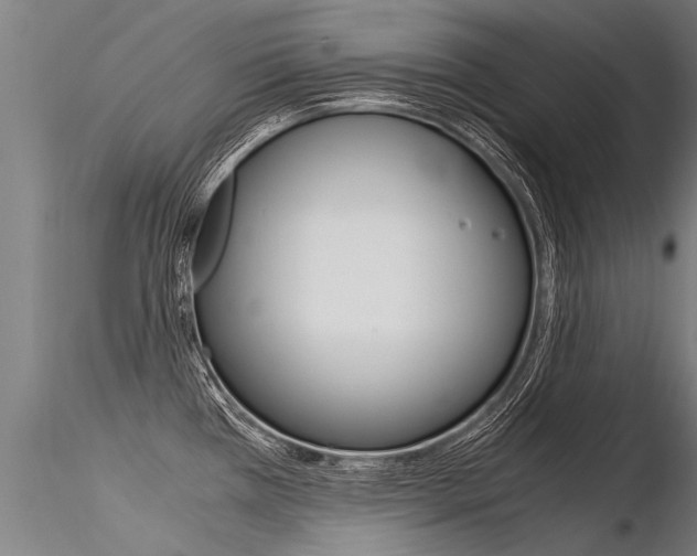X0000116371385200912020959