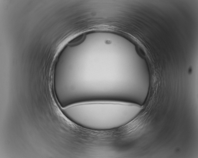 X0000116371387200912020959