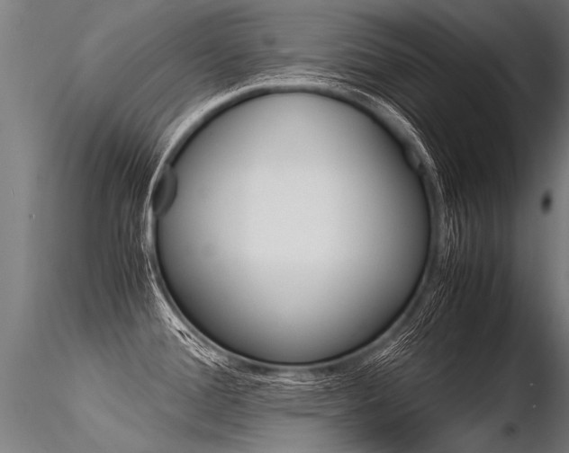 X0000116371388200912020959