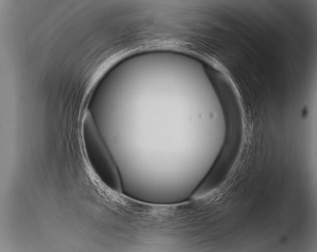 X0000116371389200912020959