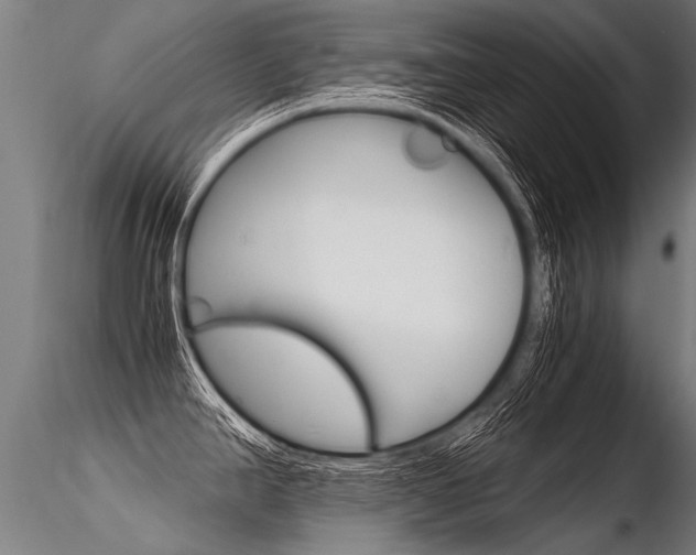 X0000116371390200912020959