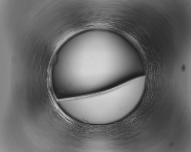 X0000116371391200912020959