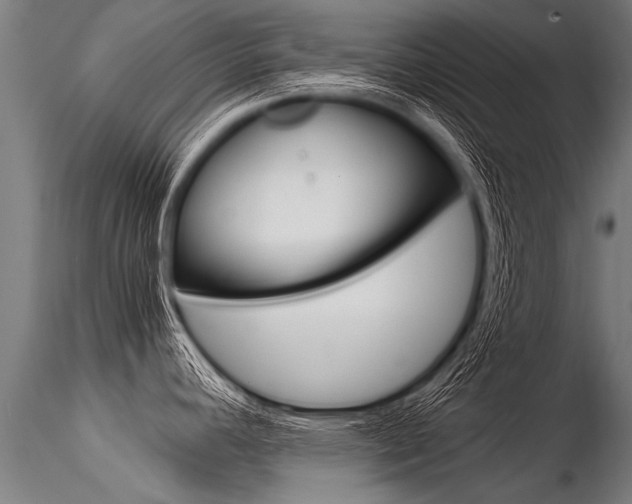 X0000116371392200912020959