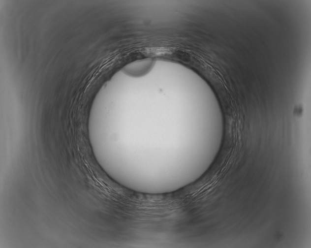 X0000116371393200912020958