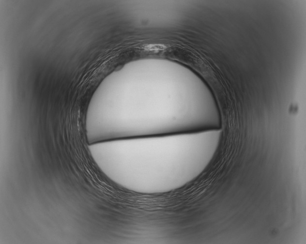 X0000116371394200912020958