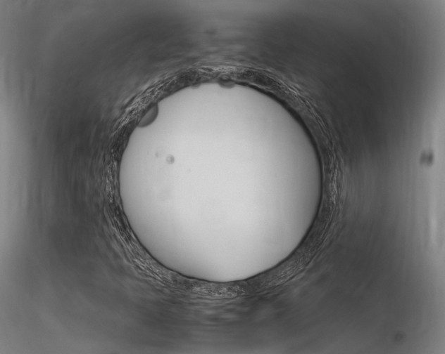X0000116371397200912020958