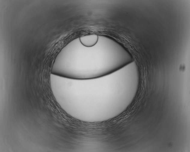 X0000116371398200912020958