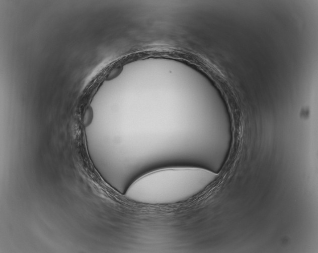 X0000116371400200912020958