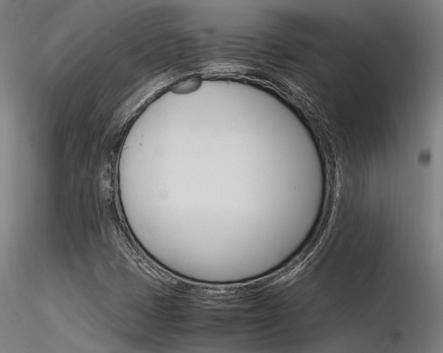 X0000116371401200912020958