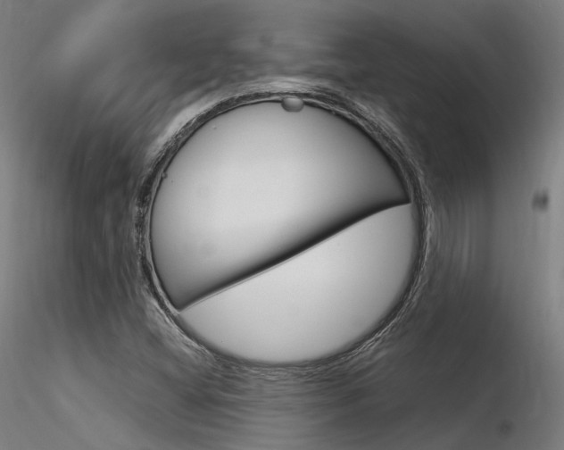 X0000116371404200912020958