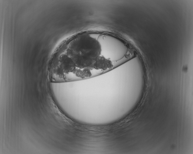 X0000116371408200912020959