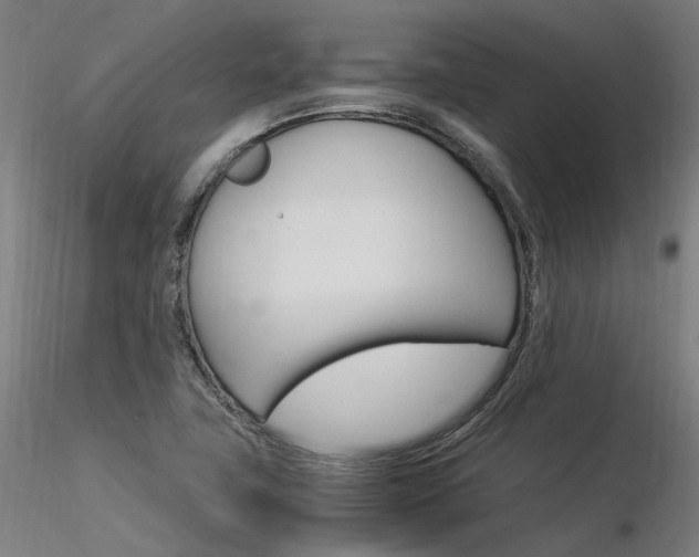 X0000116371411200912020959