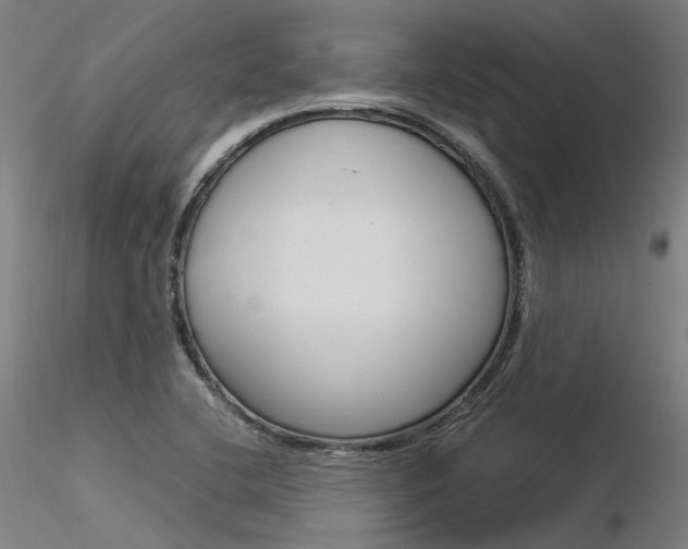 X0000116371412200912020959