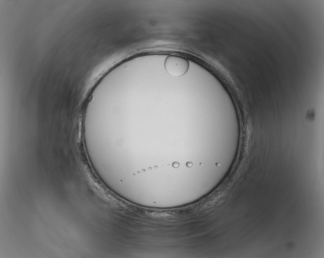 X0000116371413200912020959