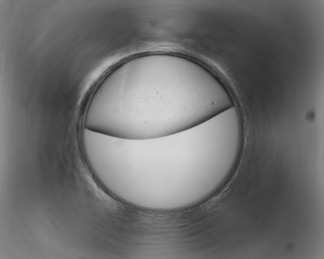 X0000116371414200912020959