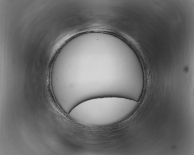 X0000116371415200912020959