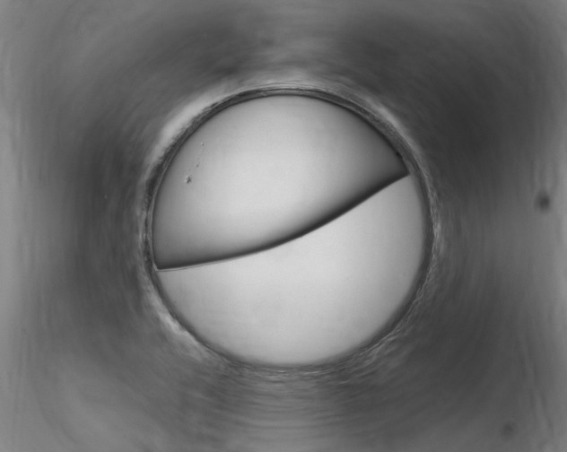 X0000116371416200912020959