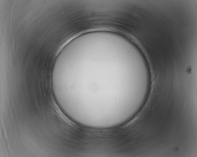 X0000116371417200912020959