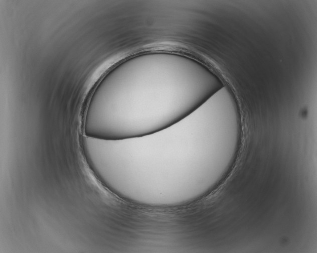 X0000116371418200912020959