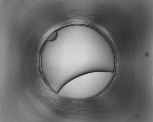 X0000116371419200912020959