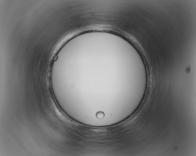 X0000116371421200912020959