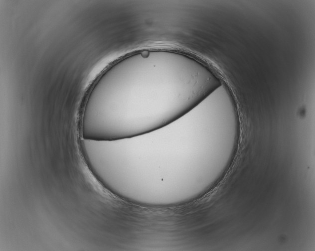X0000116371422200912020959