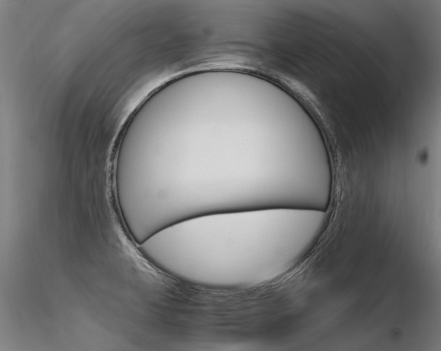 X0000116371423200912020959