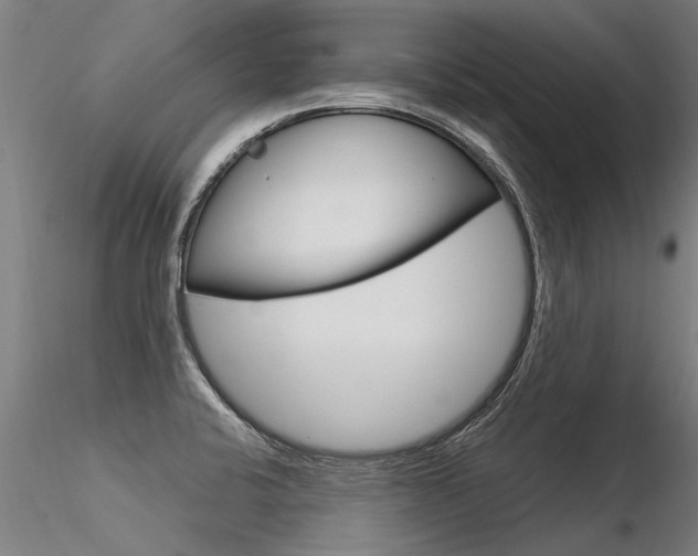 X0000116371424200912020959