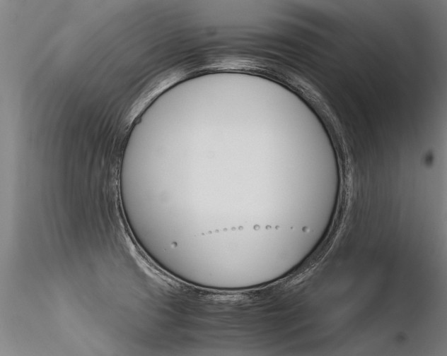 X0000116371425200912020959