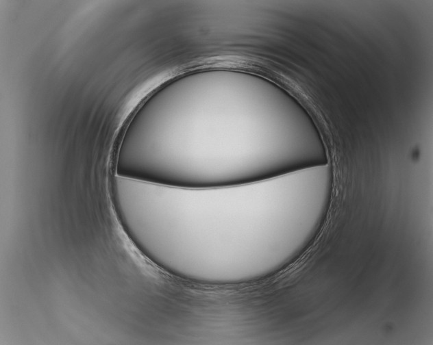 X0000116371426200912020959