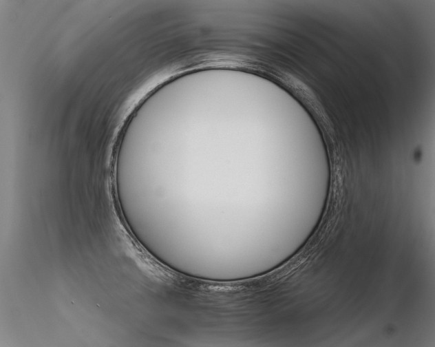 X0000116371427200912020959
