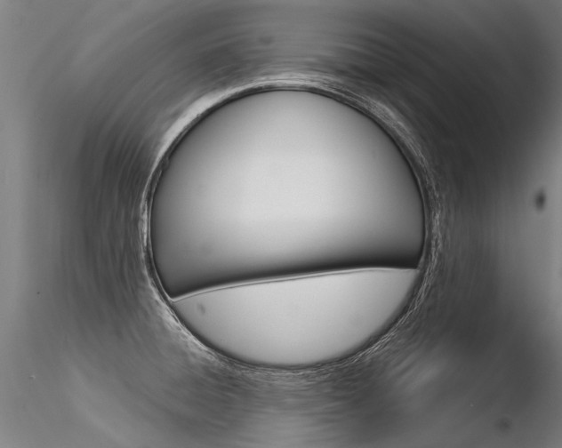 X0000116371428200912020959
